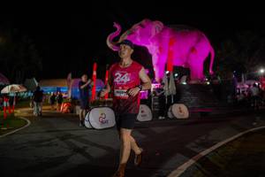 BIB: 
                            <button type="button" onclick="openModal(26552160)" class="btn btn-primary btn-sm float-right btn-popup" data-toggle="modal" data-target=".modal-high-quality">
                        <i class="fas fa-shopping-cart"></i> Add to Cart
                    </button>
                                            <button type="button" onclick="isThisMe(26552160, true)" class="btn btn-success btn-sm float-right btn-popup btn-isme hidden" data-toggle="tooltip" data-placement="bottom" title="นี่คือรูปของคุณใช่ไหม คลิกที่นี่เพื่อเอาเข้าอัลบั้ม">
                        <i class="fas fa-plus"></i> Add to album
                    </button>
                    <button type="button" onclick="isThisMe(26552160, false)" class="btn btn-warning btn-sm float-right btn-popup btn-isnotme hidden">
                        <i class="fas fa-ban"></i> Remove from album
                    </button>